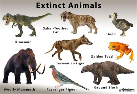 extinct animaks